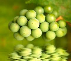 Balsamic-Vinegar-grapes